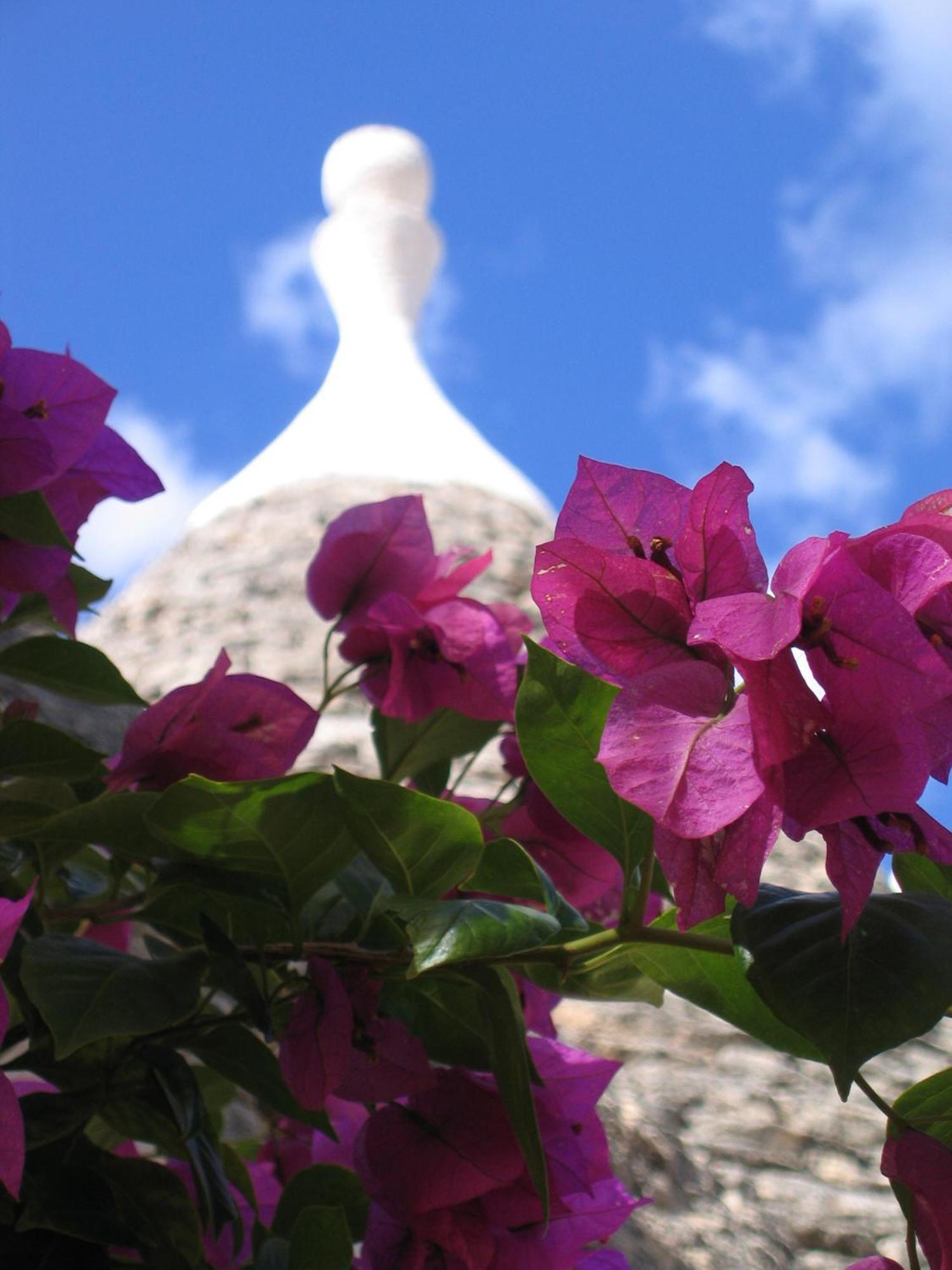 Vacanza In Puglia Alberobello Bagian luar foto