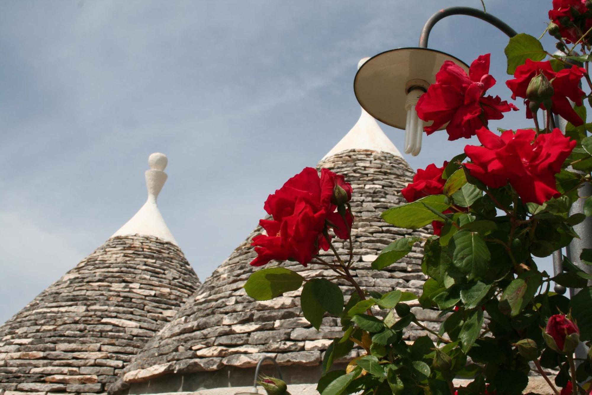 Vacanza In Puglia Alberobello Bagian luar foto