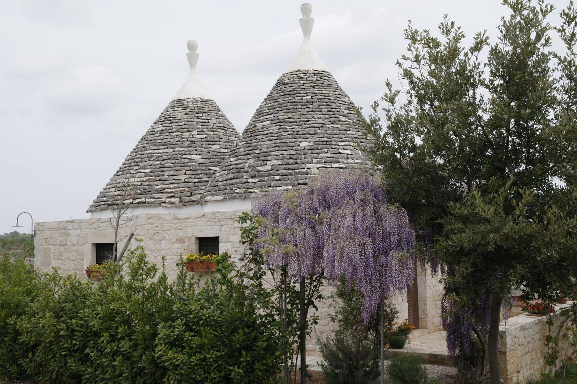 Vacanza In Puglia Alberobello Bagian luar foto
