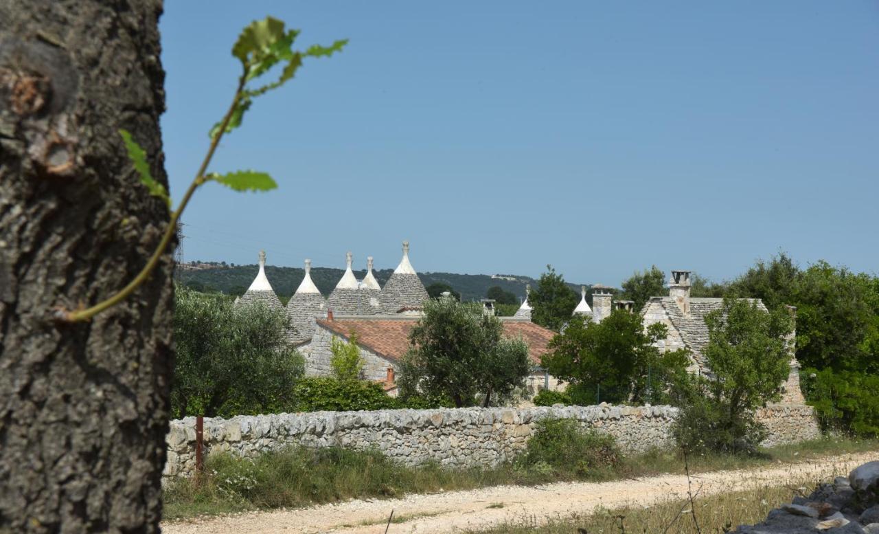 Vacanza In Puglia Alberobello Bagian luar foto